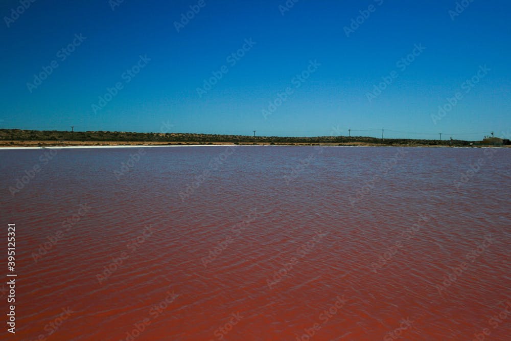 Hutt Lagoon, Pink Lake, Gregory, Kalbarri Area, West Coast, Western Australia
