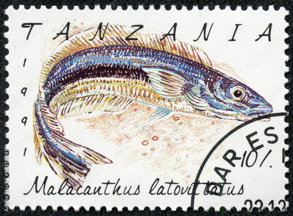 stamp printed in Tanzania shows Malacanthus latovittatus