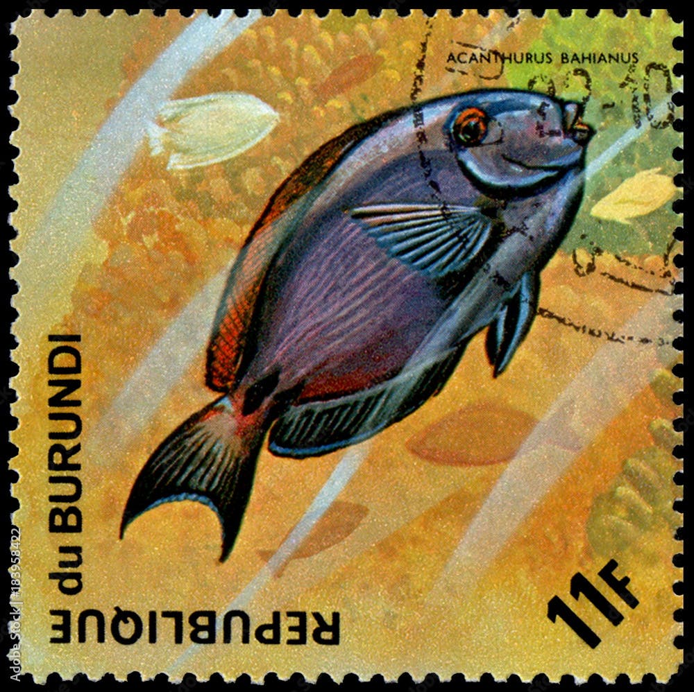 REPUBLIC OF BURUNDI - CIRCA 1974: postage stamp, printed in Burundi, shows a fish Ocean Surgeonfish (Acanthurus bahianus)