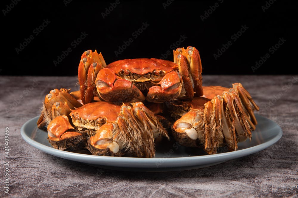 steamed chinese mitten crab, shanghai hairy crab close up on plate