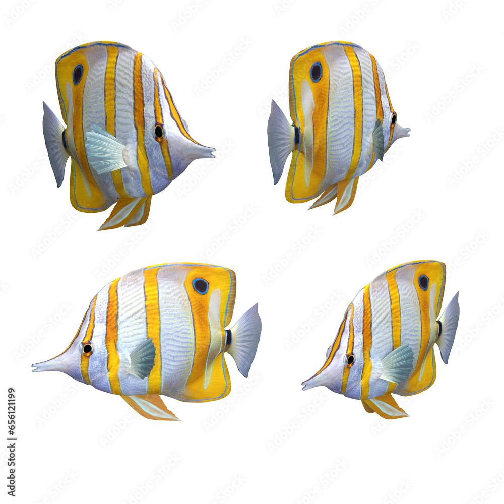 fish many poses