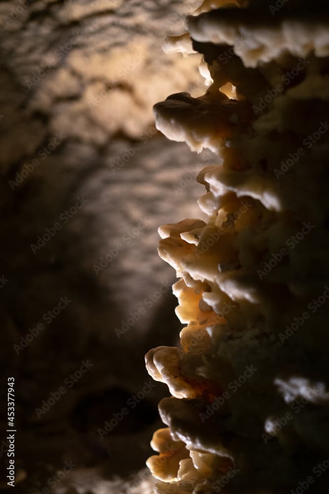 Caves of stalagmites and stalactites