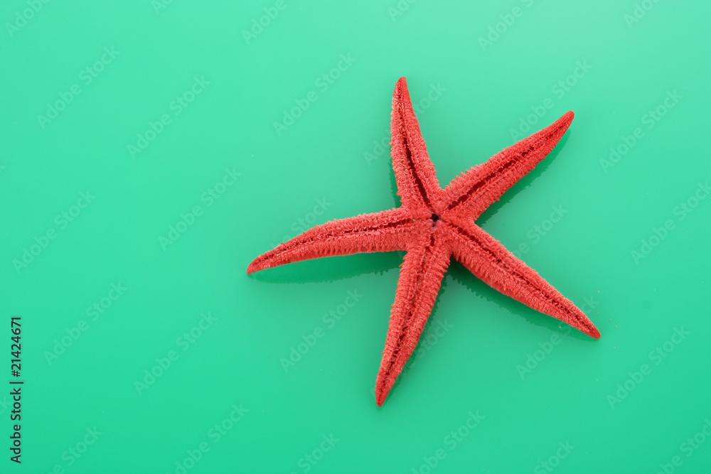 starfish on green background