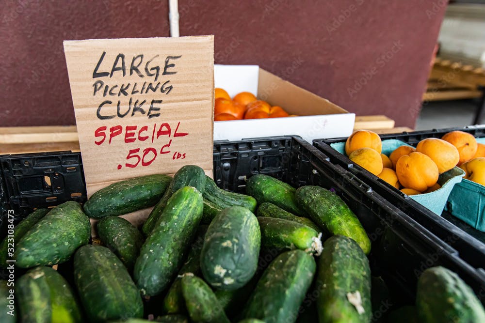 Close uo of a bunch of large pickling cuke or cucumbers at a fruit stand at the food market. hand written price n a cardboard, black and red lettering.