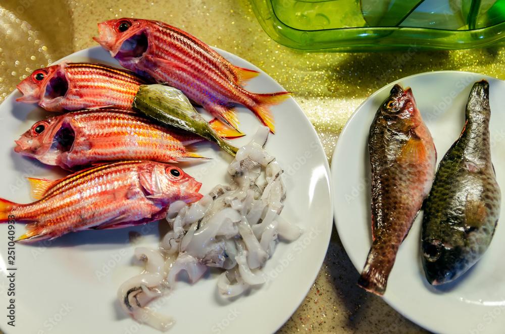 Gutted red squirrelfish and squid on plates prepared for cooking