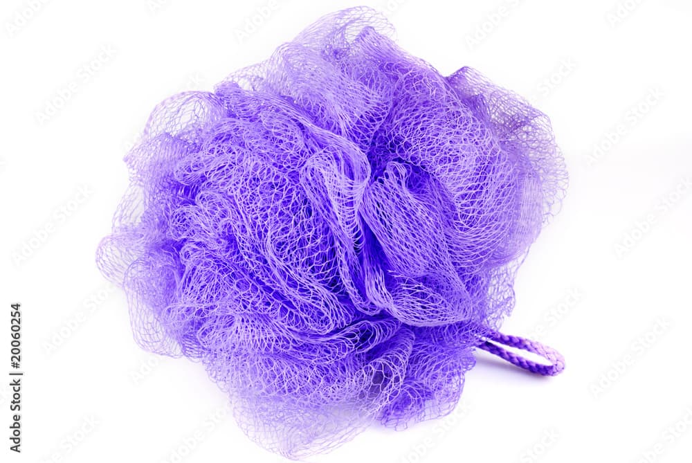 white lace sponge · Clathrina coriacea · Reeflings Library