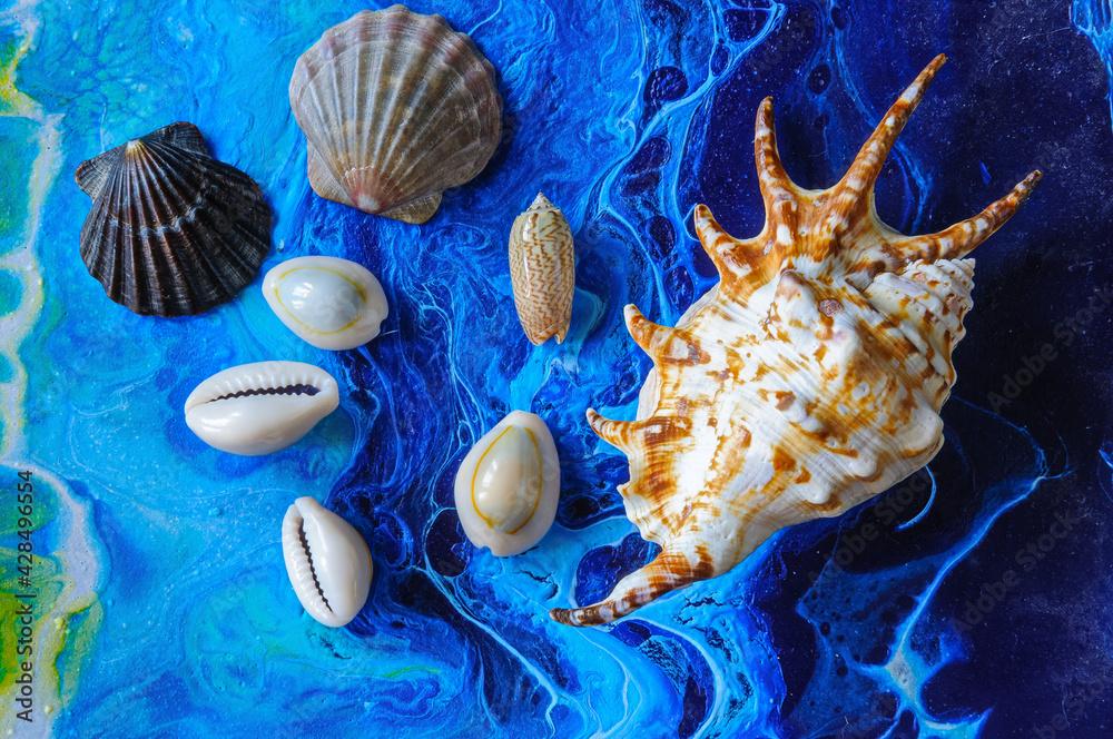 Seashells on a variegated background