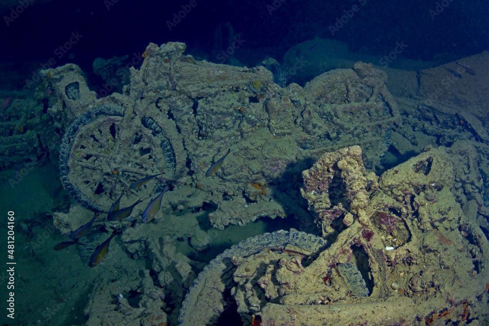 Myripristis pralinia swimming above old crashed motorbike