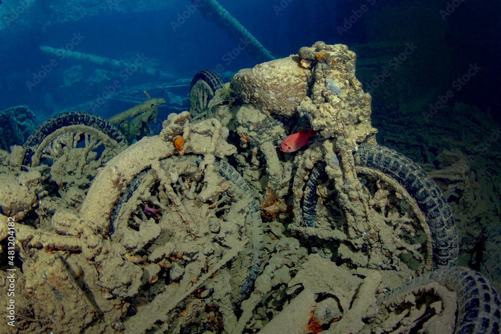 Myripristis pralinia swimming above old crashed motorbike