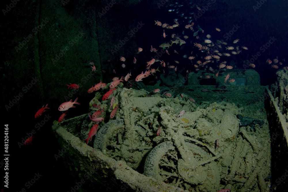 Myripristis pralinia swimming above old crashed motorbike