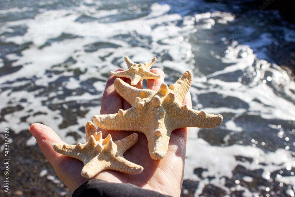 Protoreaster nodosus, commonly known as the horned starfish or chocolate starfish Several pieces in hand. Big and small. Yellow thick. Against the backdrop of the sea.