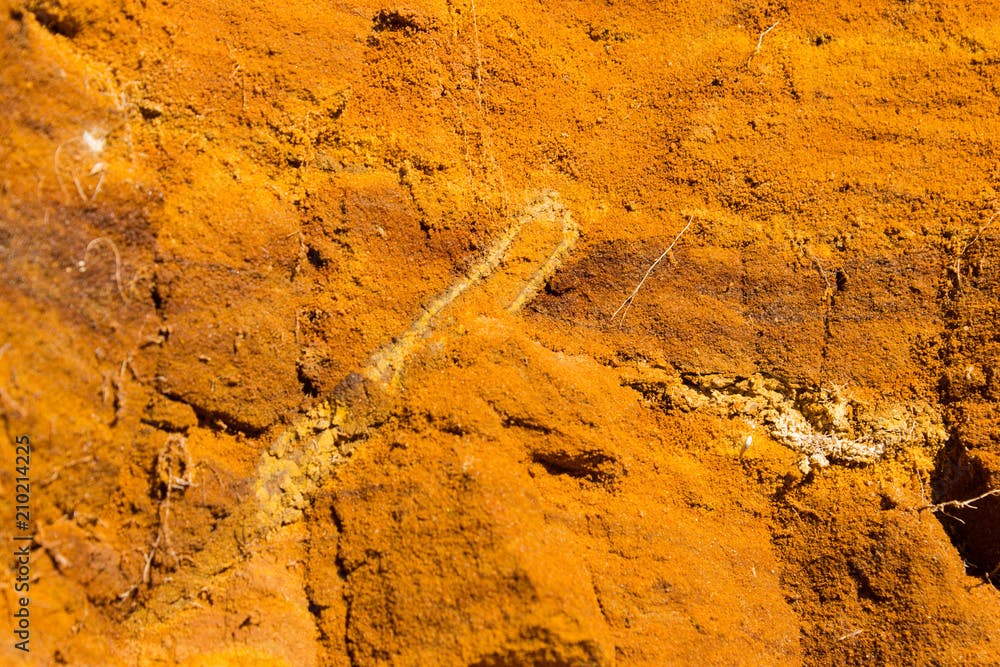 Tube of petrified sponge in orange Sandstone with interlayers
