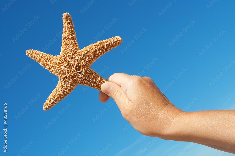 Starfish in his hand