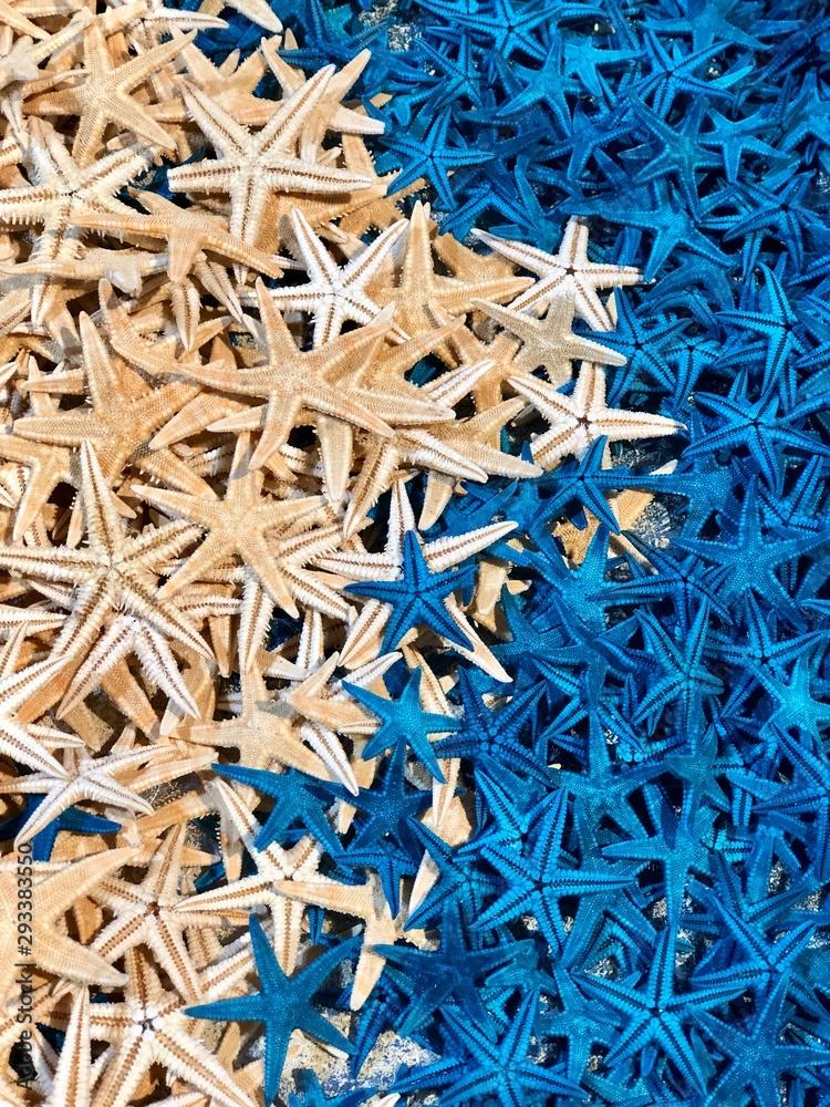 abstract background made of  blue and white starfish 