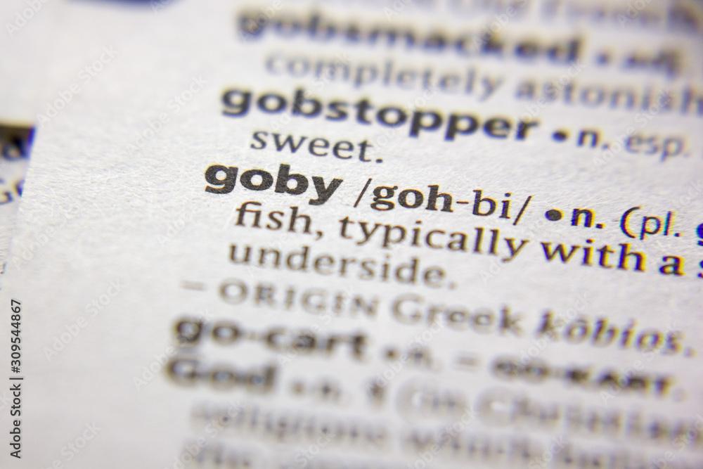 Word or phrase Goby in a dictionary.