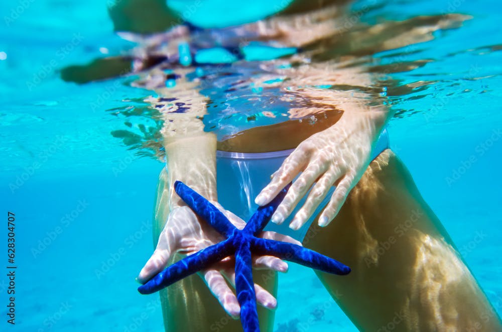  Young woman holding starfish underwater 