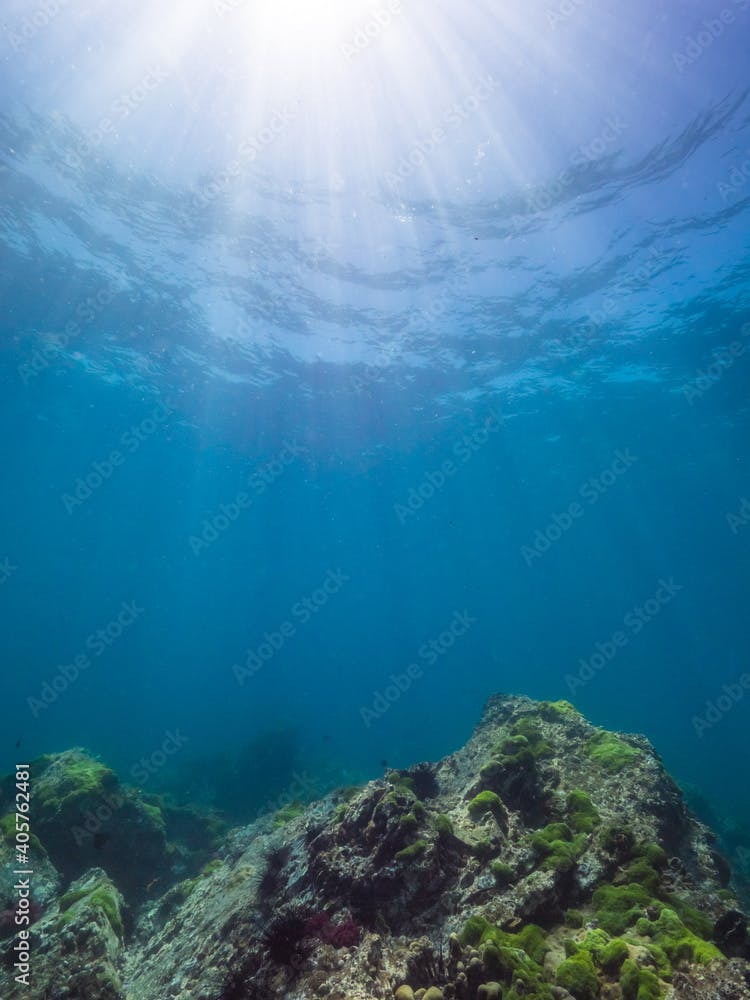 Underwater sunshine, rock with Green hair algae (Mergui archipelago, Myanmar)