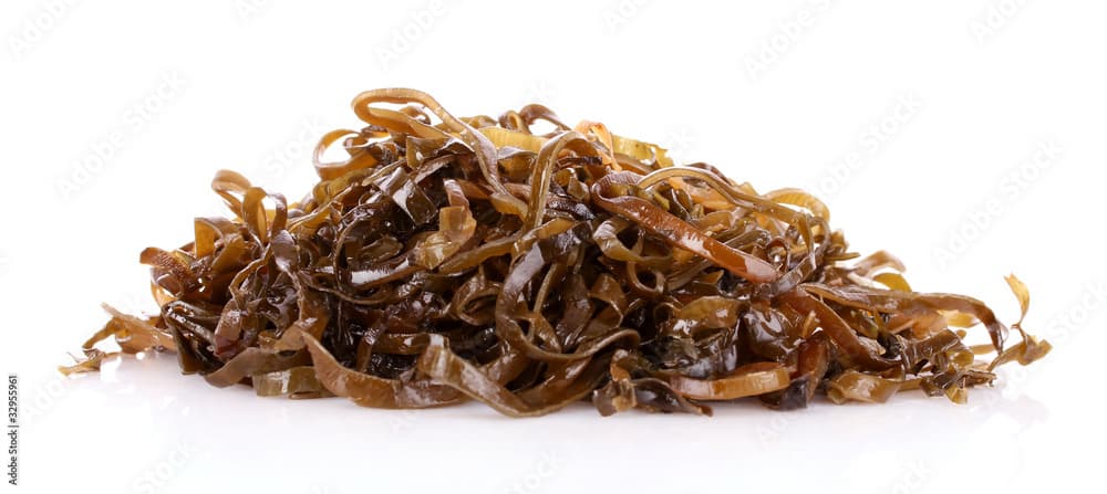 Sliced laminaria isolated on the white background