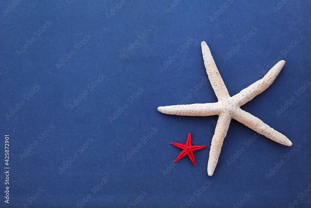 Bright beautiful sea background: on blue ultramarine surface is a large white (Linckia) and a small red (Fromia milleporella) starfish. Concept: travel photo frame, memories of summer vacation trip.