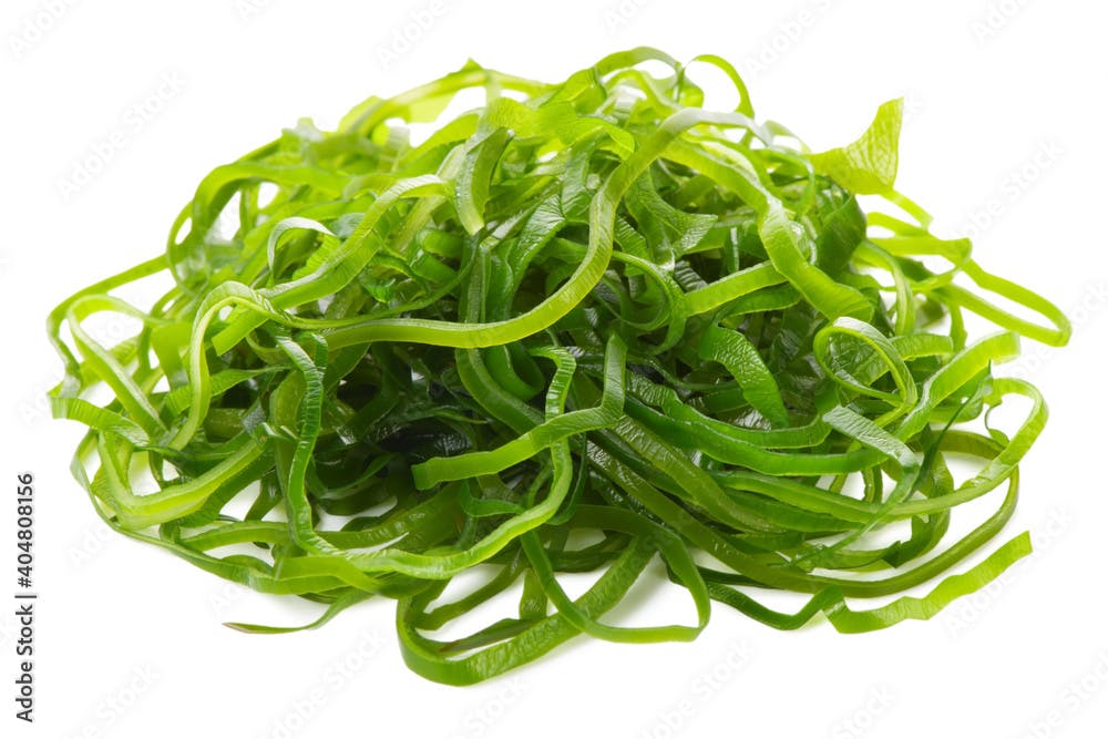 gracilaria ogonori seaweed salad isolated on white background, traditional Japanese food